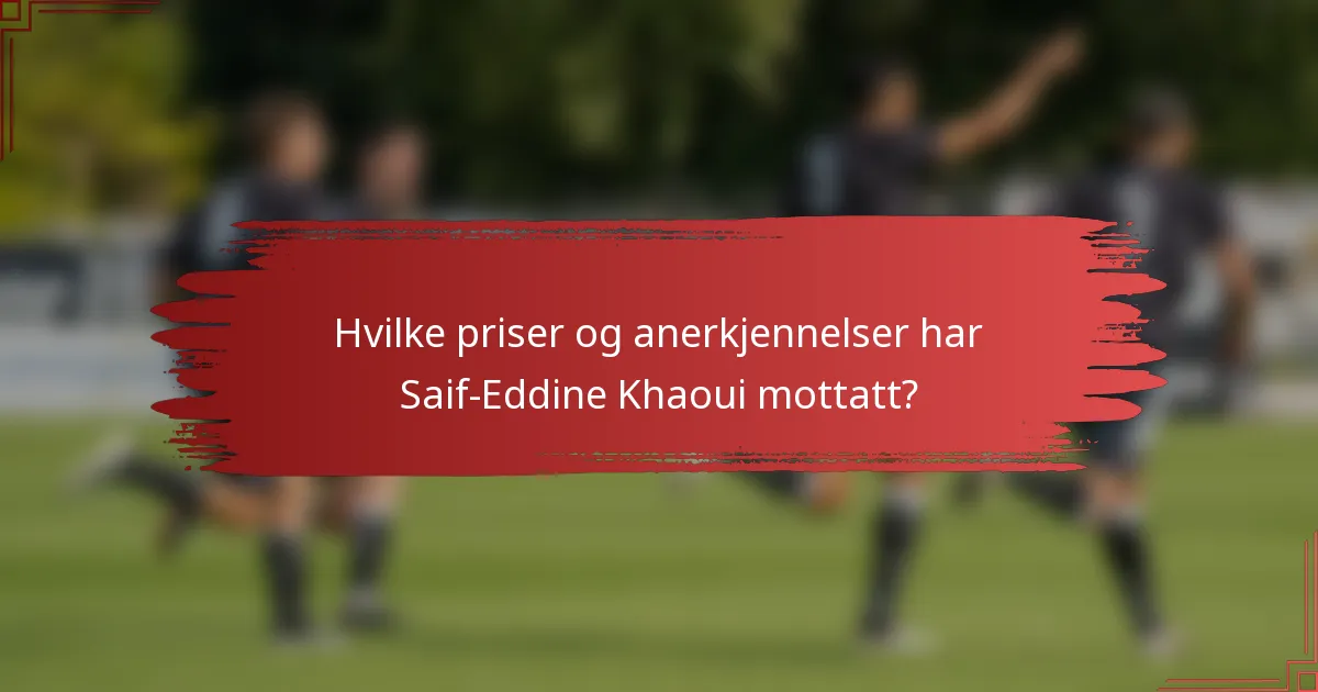 Hvilke priser og anerkjennelser har Saif-Eddine Khaoui mottatt?