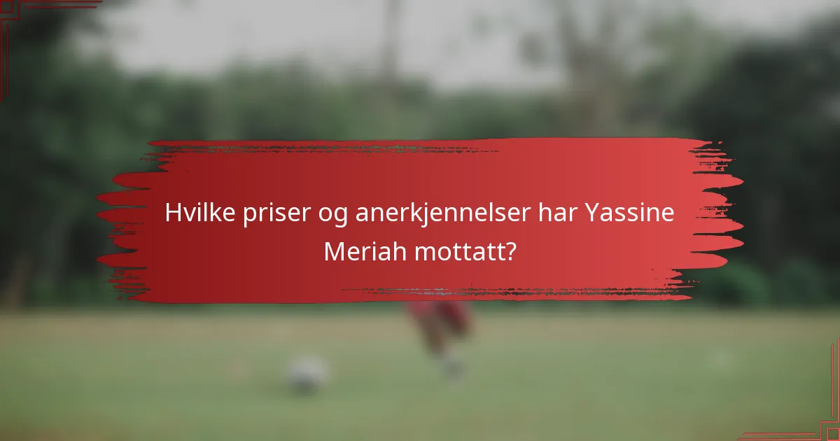 Hvilke priser og anerkjennelser har Yassine Meriah mottatt?
